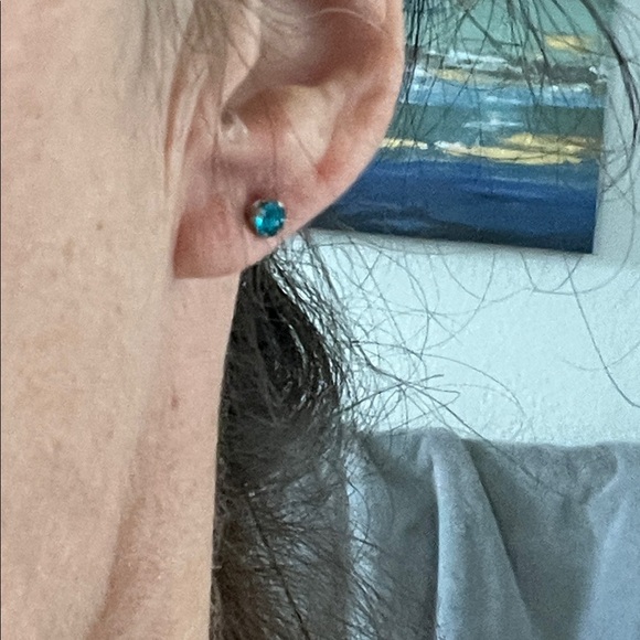 Elegant Silver and Blue Stud Earrings - Picture 2 of 2